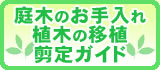 樹木医・剪定のプロが教えるお庭のお手入れ剪定ガイド