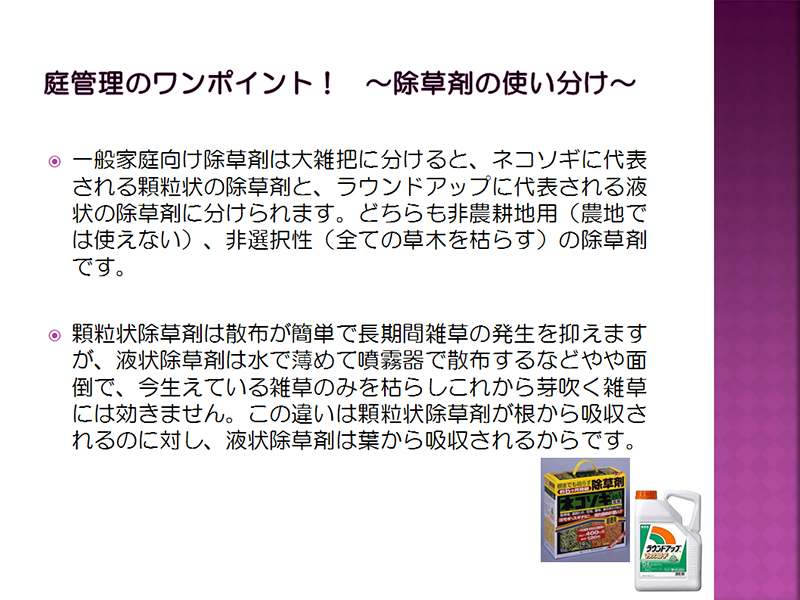 PowerPoint①