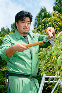 松沼勲