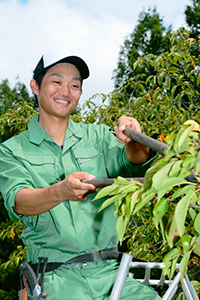 野村英栄