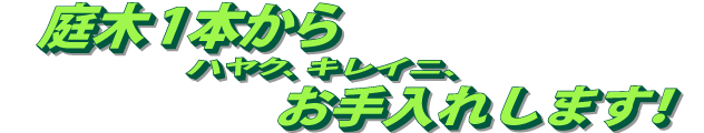 庭木1本からハヤク、キレイニ、お手入れします！